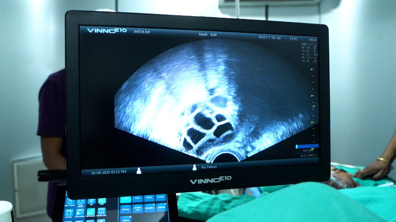 WhatsApp Image 2025-11-17 at 2.20.43 PM